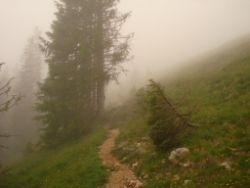 2013-06-22_Hirschhoerndl_Jochberg (102).JPG